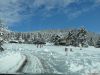 semkovo_winter_09_55_belitsa_com.jpg